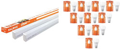 Halonix 10 Watt B22 LED Cool Day Light Bulb, Pack of 10, White & 20W L