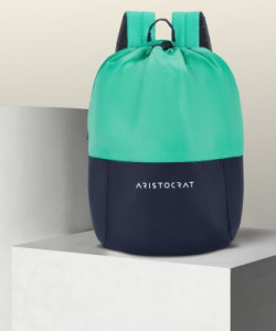 ARISTOCRAT DRAW-PACK TEAL 15 L Laptop Backpack(Blue)