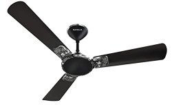 Havells 1200mm Enticer Art Energy Saving Ceiling Fan (Mettaclic Black