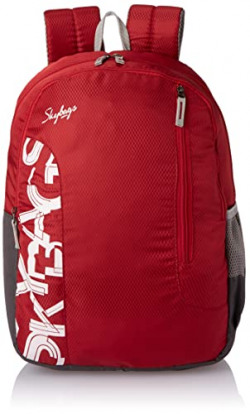 Skybags Casual Backpack 28L, 2 Main Compartments, Bottle Pocket, Front