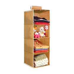 PrettyKrafts Clothes Hanging 4 Shelf Organizer, Wall Hanging Organiser