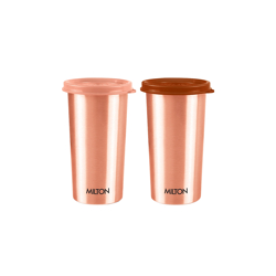 Milton Set of 2 Copper Drinking Water Tumbler With Lid - 480 ml Each