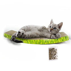 Emily Pets Arch Shape Design Double-Sided Anti-Slip Cardboard Reversib
