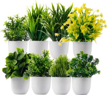 Ryme Mini/Small Green Wild Flower Artificial Flower with Pot(6 inch,