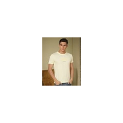 Regular Fit Typographic Print Crew-Neck T-Shirt