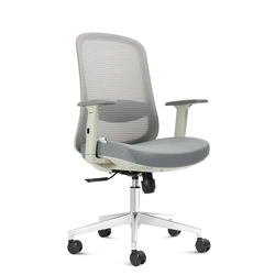 NXTGEN MISURAA Imported Athens Mid Back Ergonomic Chair with Cushion S