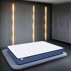 SLEEPSPA Ortho Pocket with SrtX Technology 6 inch Double Pocket Spring