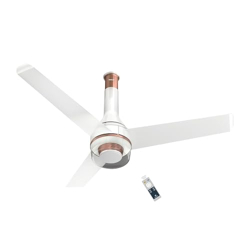 Havells 1200mm Crista Underlight BLDC Ceiling Fan | Remote Controlled,