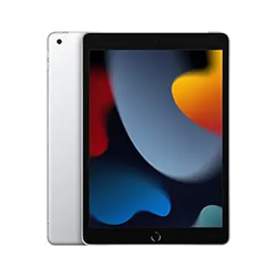 2021 Apple 10.2-inch (25.91 cm) iPad with A13 Bionic chip (Wi-Fi + Cel