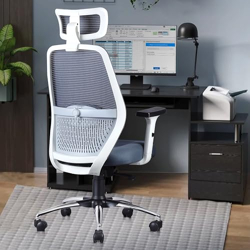 ASTRIDE OCTAVE ERGONOMIC OFFICE CHAIR FOR HOME | 3-YEARS WARRANTY | 2D