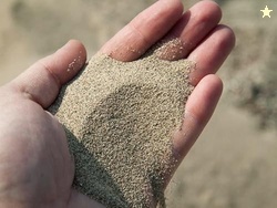 SANJUS Organic Natural 100% Pure River sandOrganic Natural River Sand